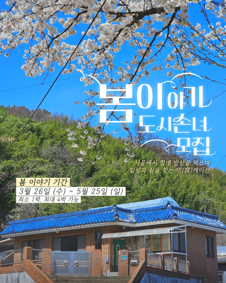 2026.03.30. 봄 이야기 : 도시손녀 모집